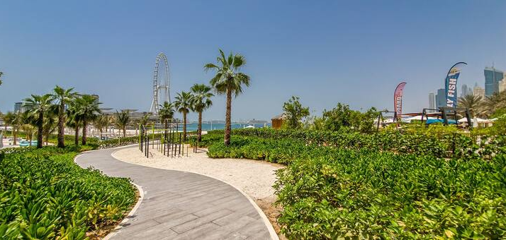 Screenshot2025-10-06144028