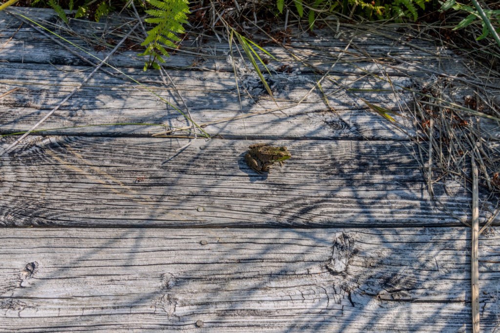 PhotoSep142025,114239PM