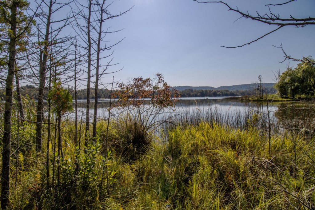 PhotoSep142025,114315PM