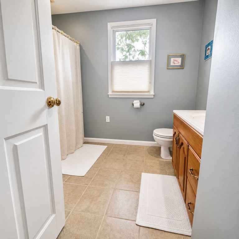 Modern bath with natural light - 2nd bedroom bath