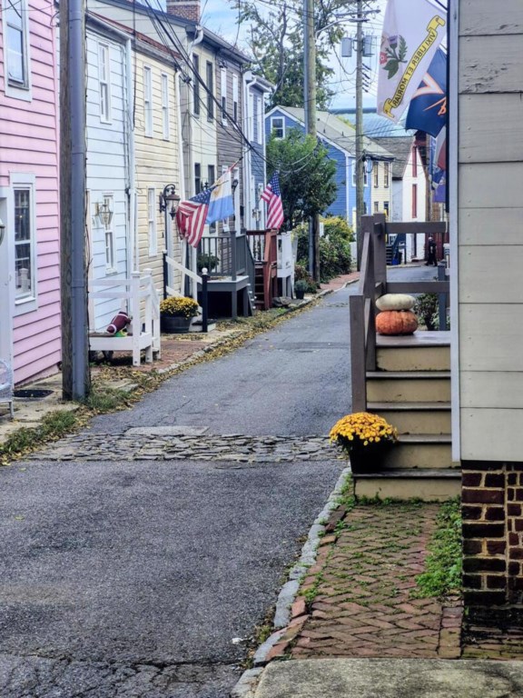 Iconic Pinkney St looking down the street toward City Dock