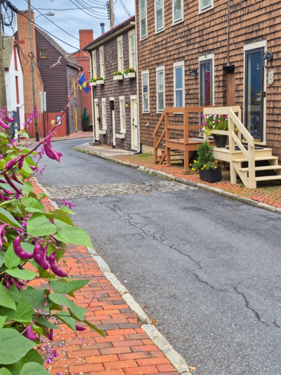 Colorful homes and brick sidewalks along iconic Pinkney St.