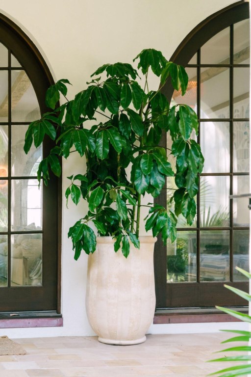 Luxurious Spanish Beach Oasis on Sullivans Island