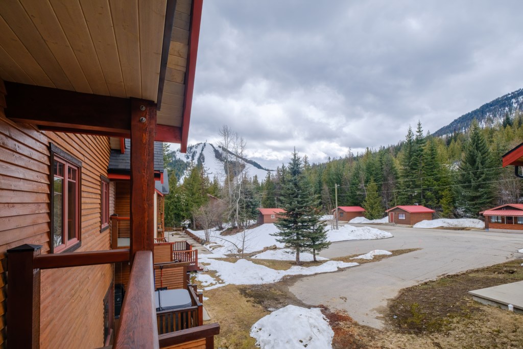 Back Patio View