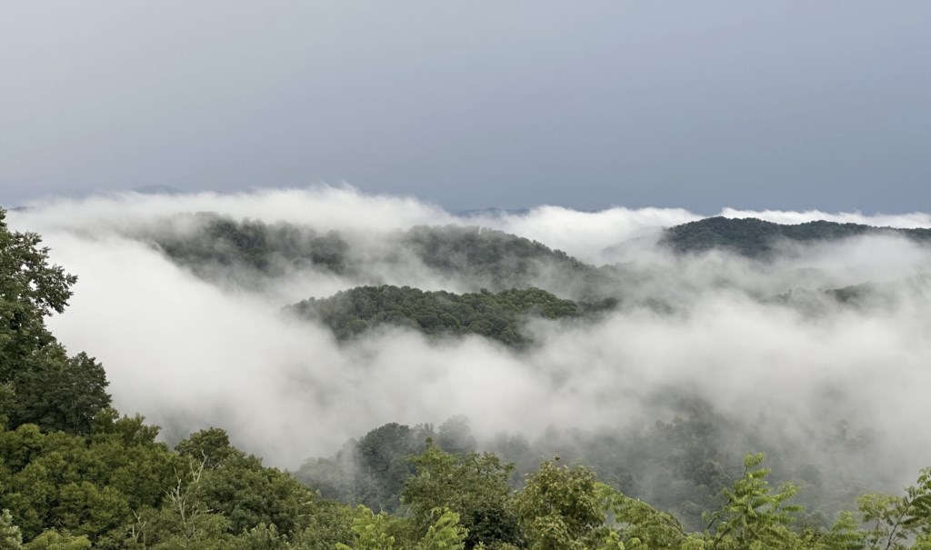 Lifeabovetheclouds