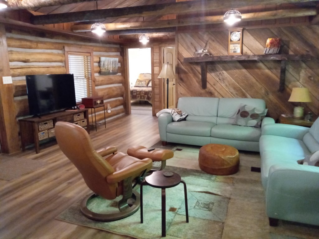 LivingRoomandTV