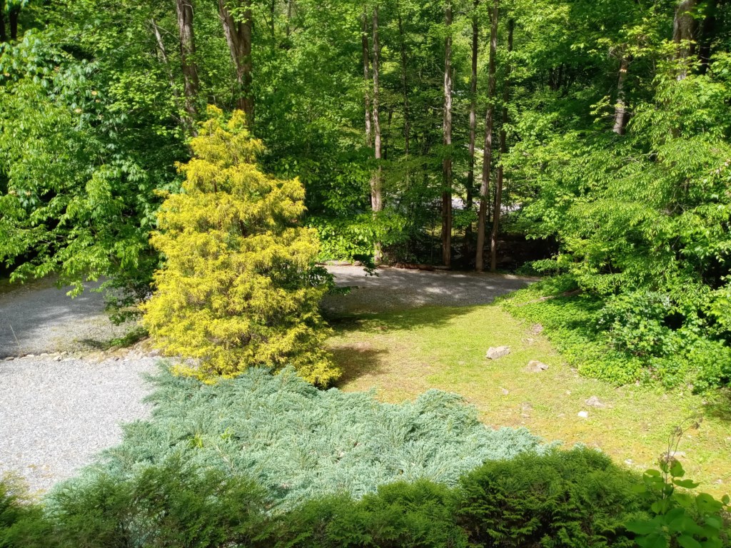 FrontYard