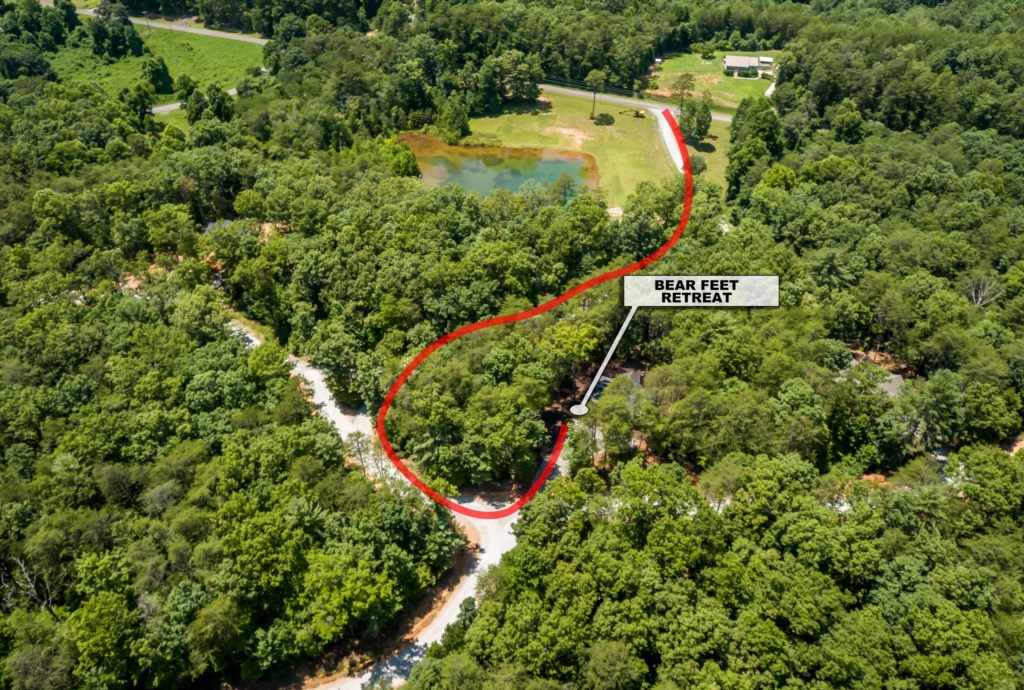 Secluded retreat nestled in lush forest, perfect for a peaceful getaway.