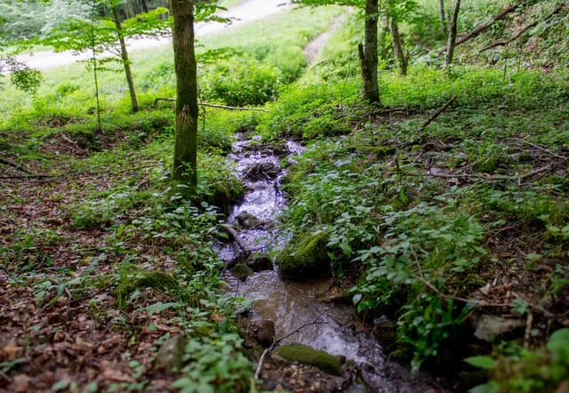 Creek