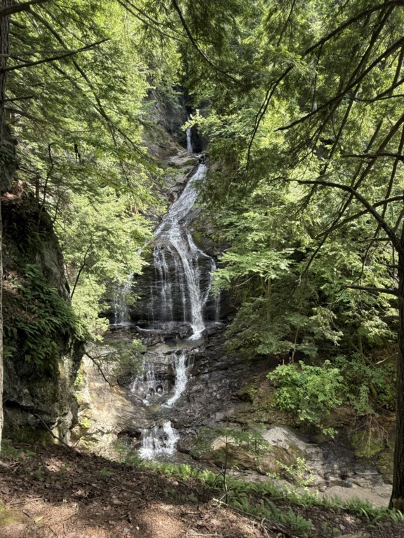 IMG_6848