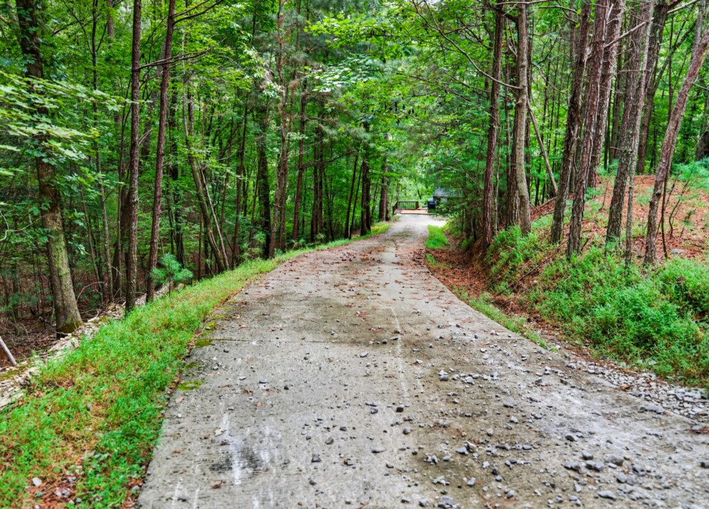 Paved, but steep driveway surrounded by lush forest, perfect for a tranquil retreat.