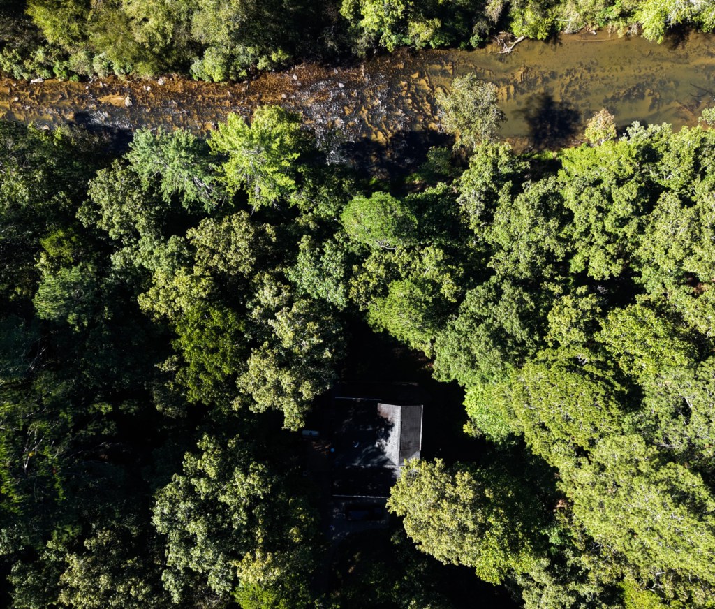 Secluded cabin surrounded by lush forest and a serene creek—perfect for a peaceful retreat.