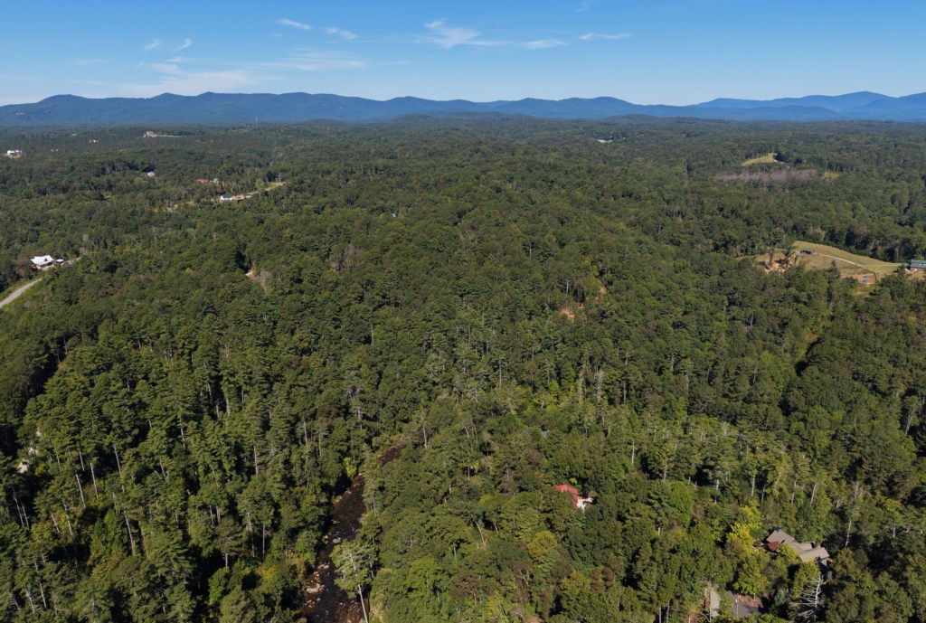 Expansive forest views with distant mountains, perfect for a secluded retreat.