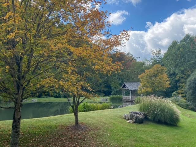 TroutPond
